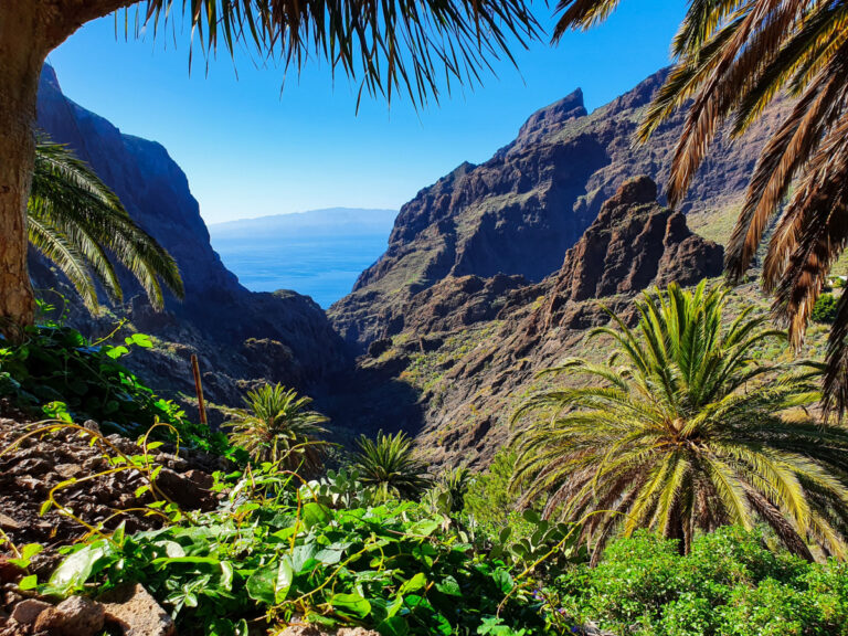 Top Des Plus Beaux Endroits De Tenerife Ch Ri Fais Tes Valises