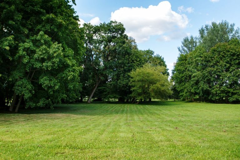 Les Meilleurs Endroits Pour Un Week End Nature Proche De Paris