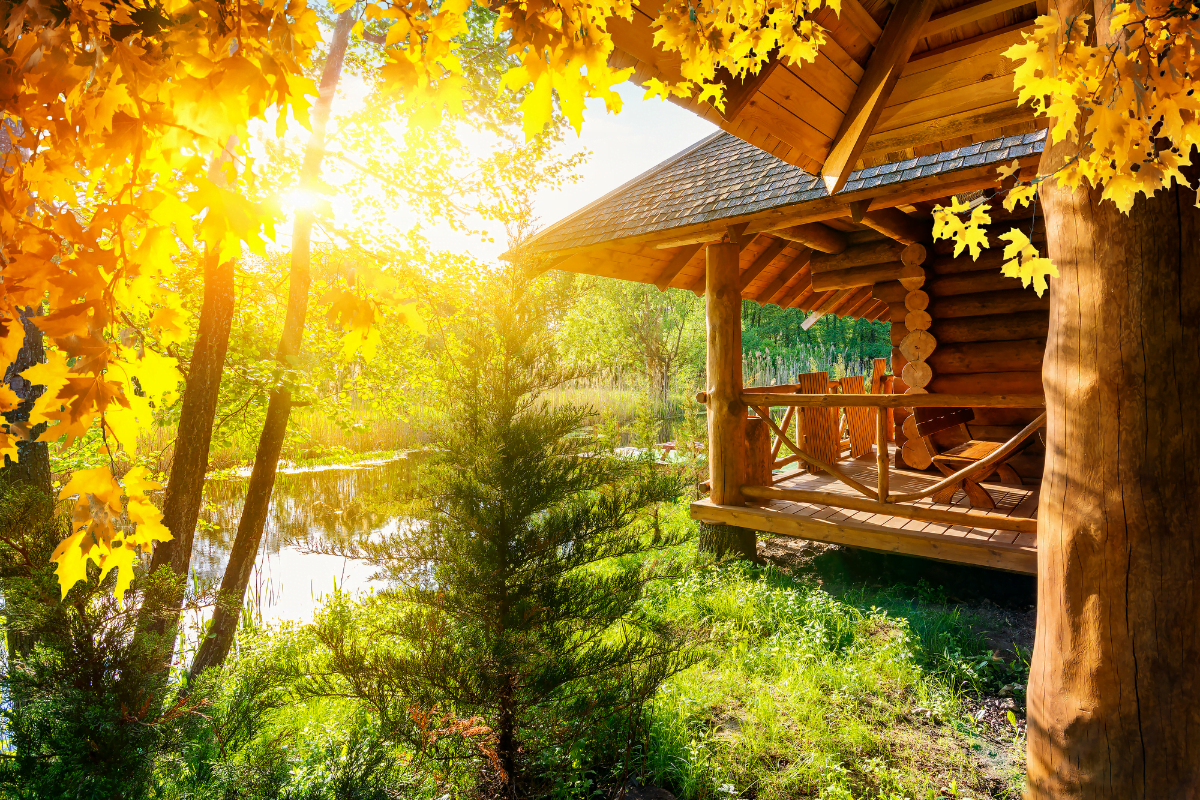 cabane-dans-vosges