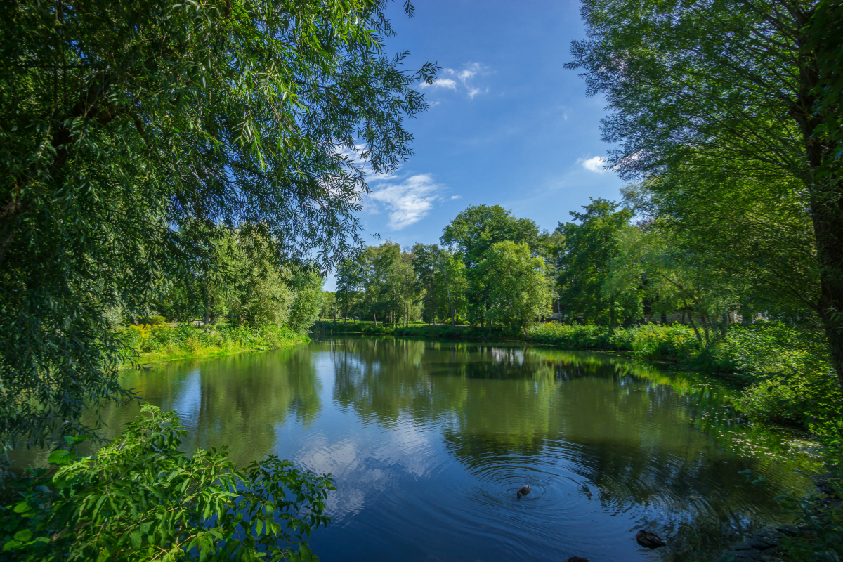 lac-ile-de-france