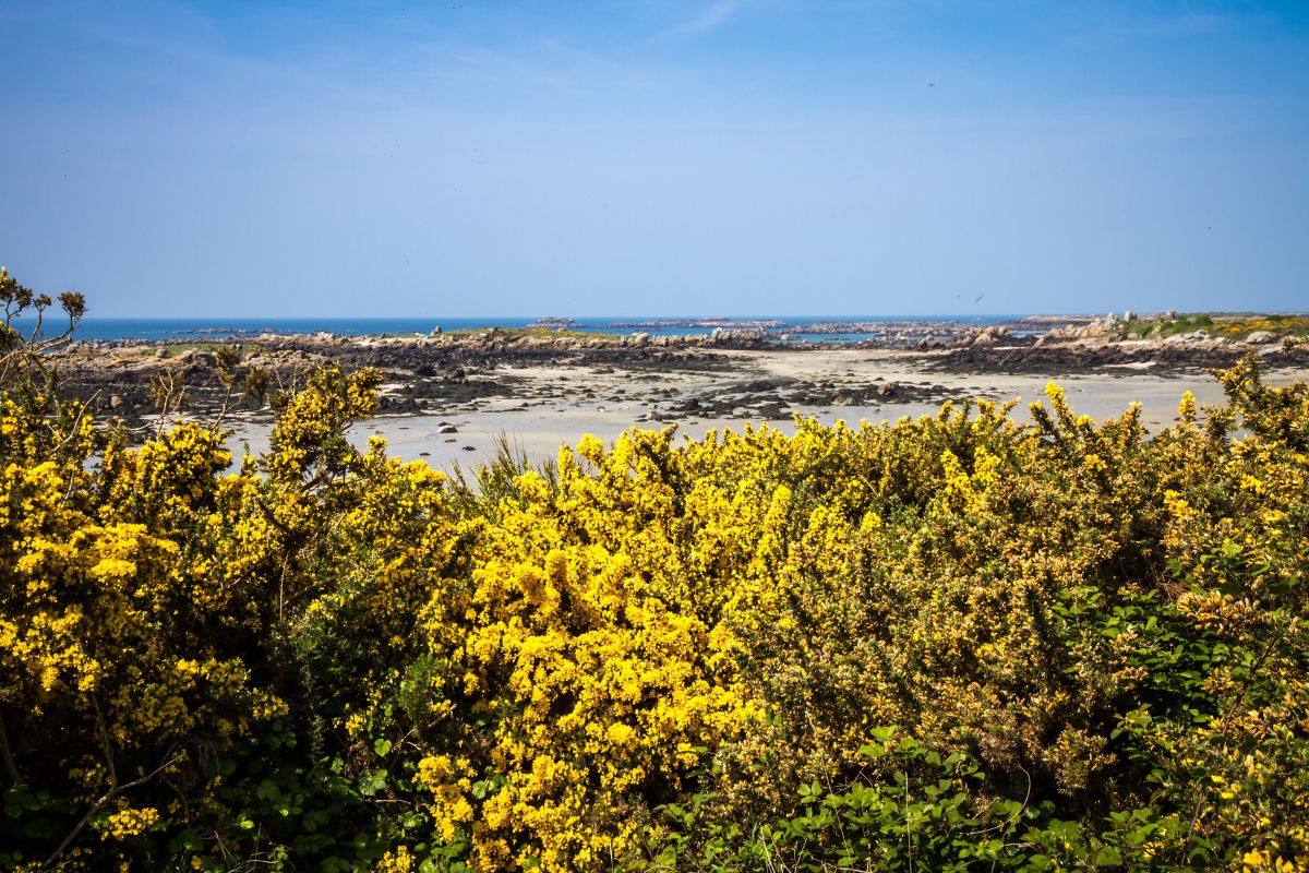 Combien de temps pour visiter les iles chausey