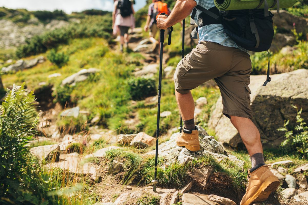 Les meilleures activités à faire dans les Vosges cet été 2024