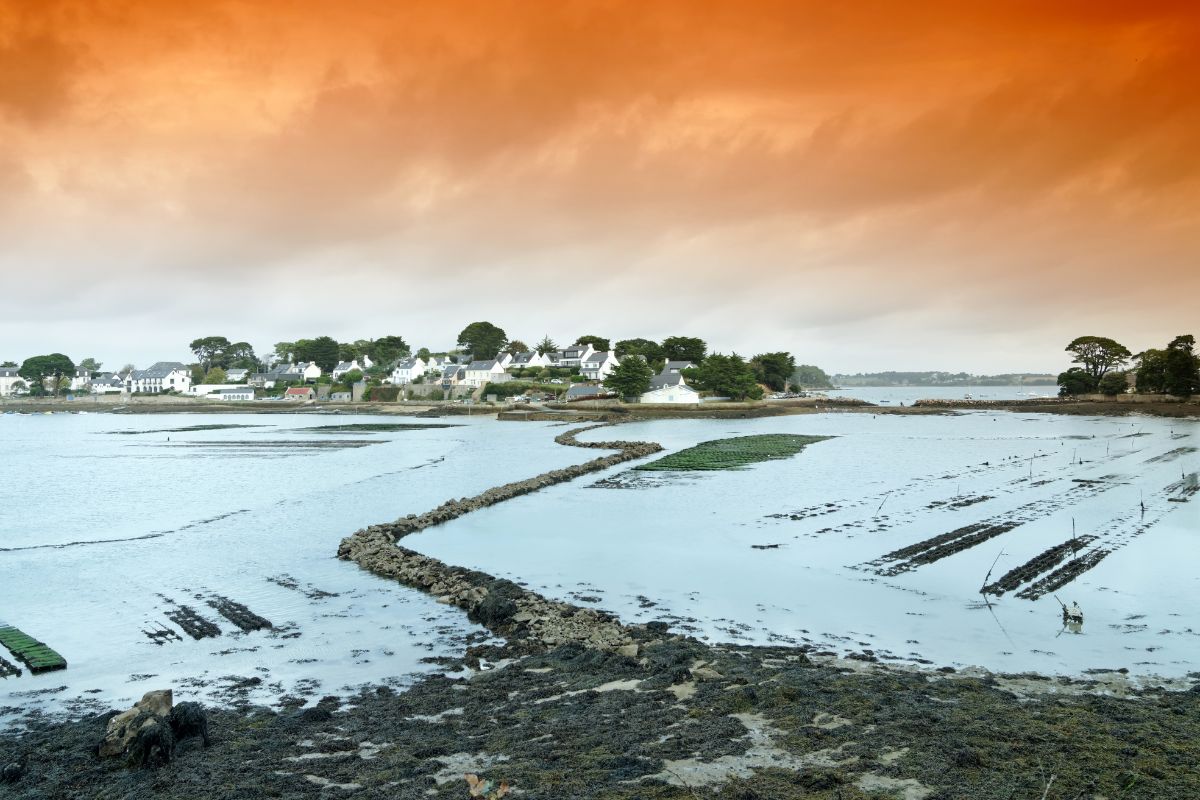 Plus belles îles du Morbihan