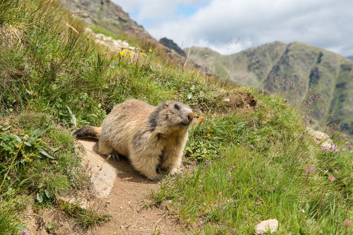 Andorre pendant l’été : Que faire & Ou dormir ?