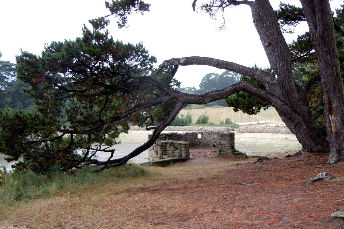 Plus belles îles du Morbihan