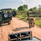 meilleur lodge safari kenya