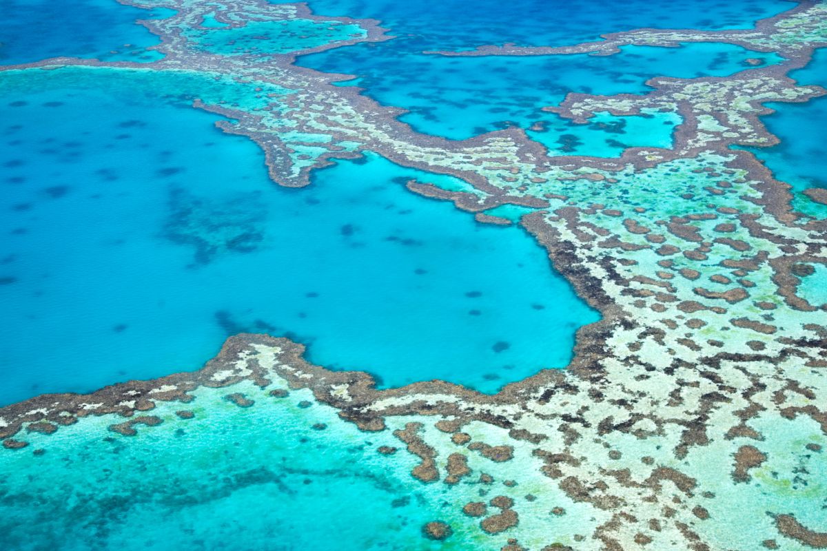 Les plus beaux spots de Snorkeling au monde pour un voyage de luxe
