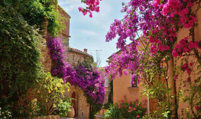 Surplage Hôtel Cavalière 4*