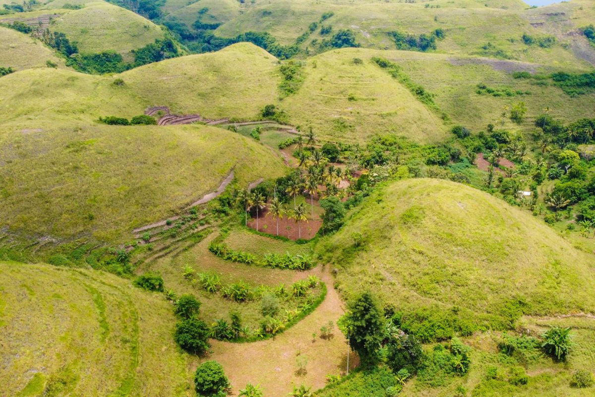 Nusa Penida : Que faire sur cette île paradisiaque ?