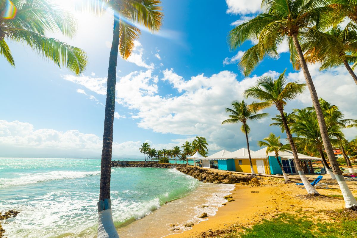 Partir en Guadeloupe en Octobre : Météo et ou loger ?