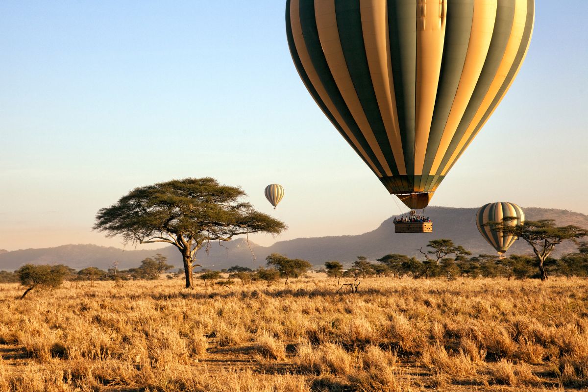 Les 6 plus beaux parcs naturels de Tanzanie à absolument voir