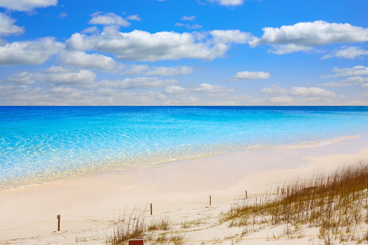 Les 9 plus belles plages du Golfe du Mexique à voir en 2024