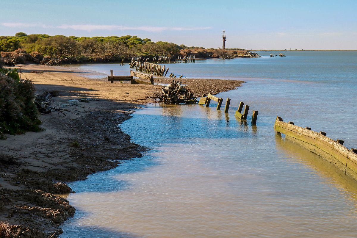 Les plus beaux parcs naturels d’Espagne à découvrir en 2024