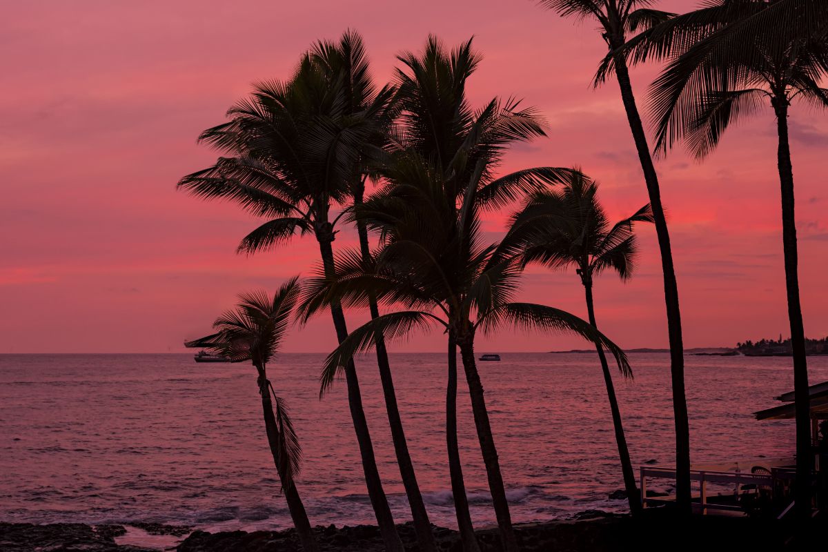Les 7 plus belles îles à découvrir à Hawaii en 2024