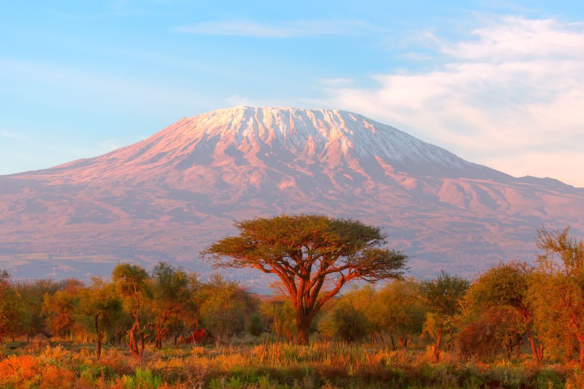 Les 6 plus beaux parcs naturels de Tanzanie à absolument voir