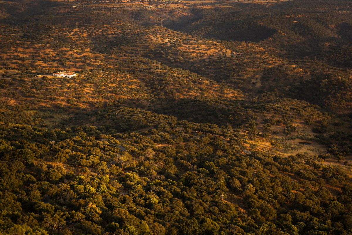 Les plus beaux parcs naturels d’Espagne à découvrir en 2024