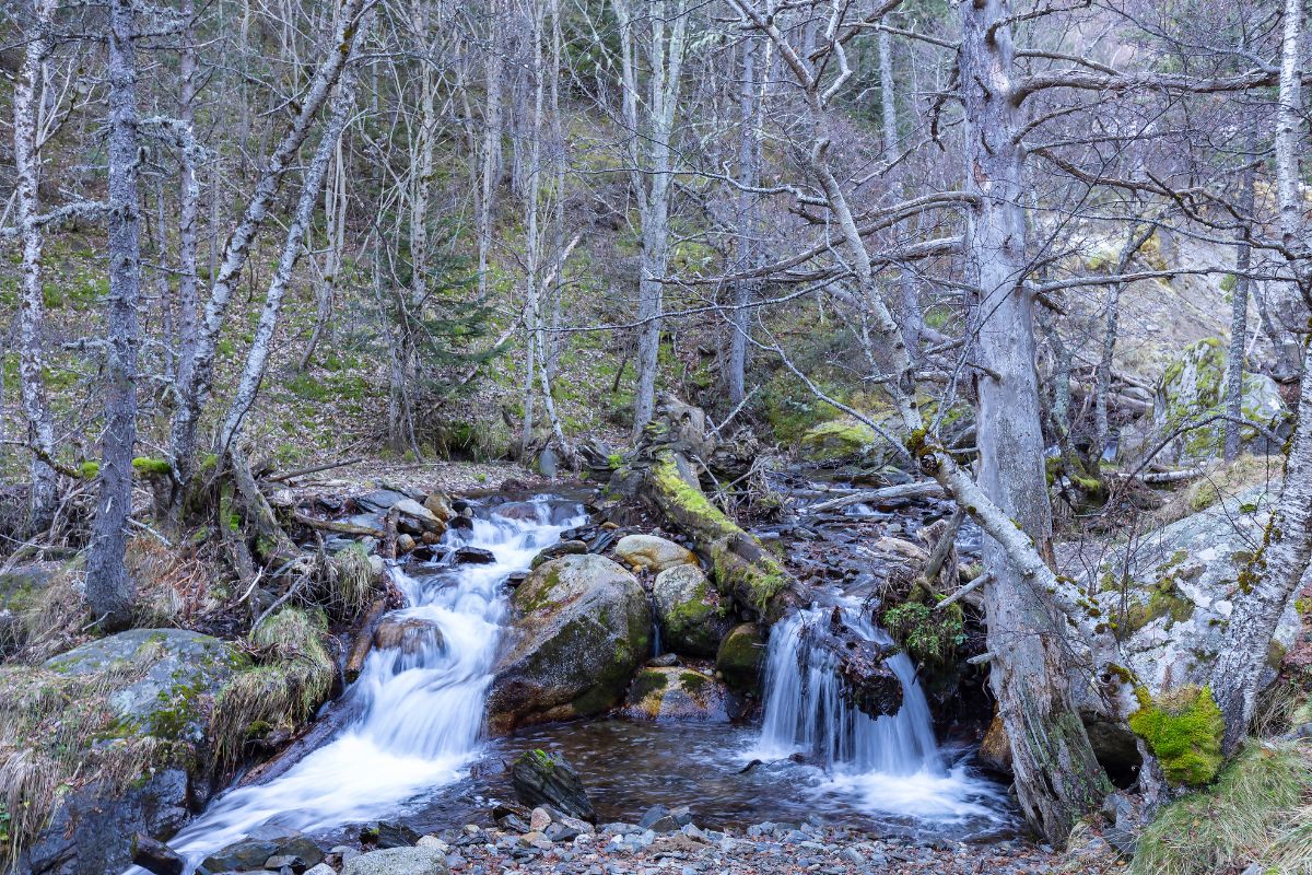 Les plus beaux parcs naturels d’Espagne à découvrir en 2024