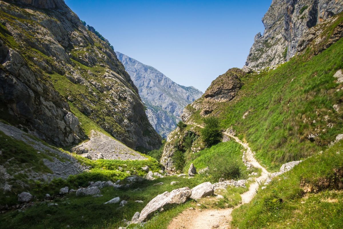 Les plus beaux parcs naturels d’Espagne à découvrir en 2024