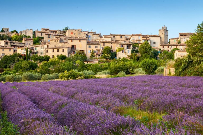 Que faire pendant votre séjour dans le Vaucluse ?