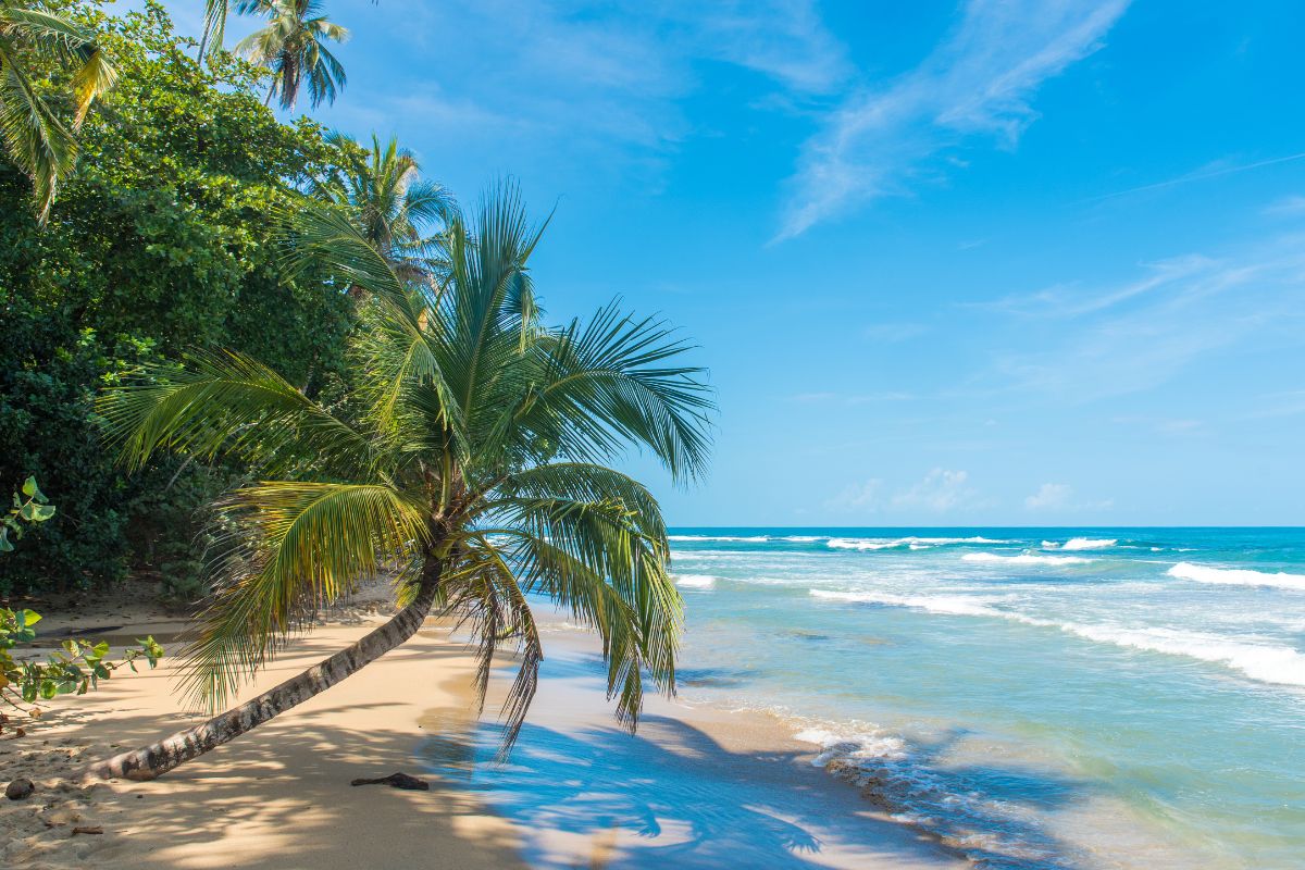 Les 9 plus belles plages du Golfe du Mexique à voir en 2024