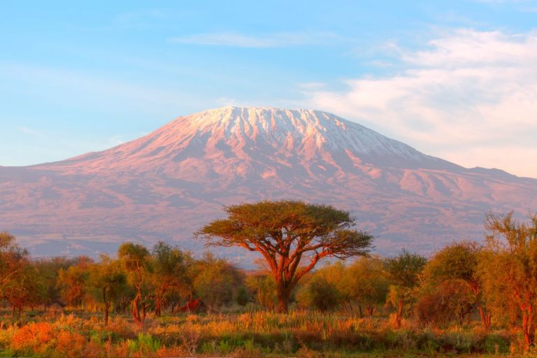 Les 6 plus beaux parcs naturels de Tanzanie à absolument voir