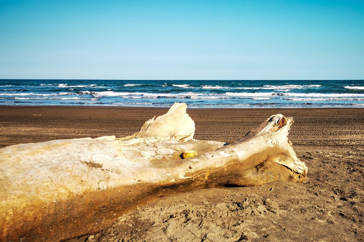 Les 9 plus belles plages du Golfe du Mexique à voir en 2024