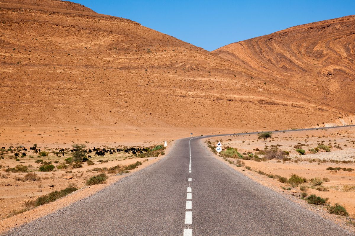 Road trip de 10 jours au Maroc : Le meilleur itinéraire !