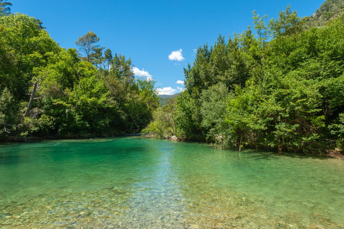 Gorges de la Siagne