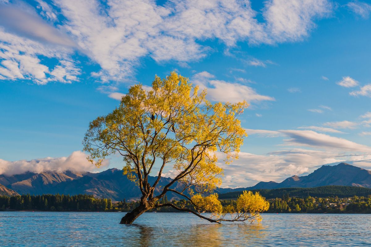 Lac Wanaka : Le guide complet pour la visite