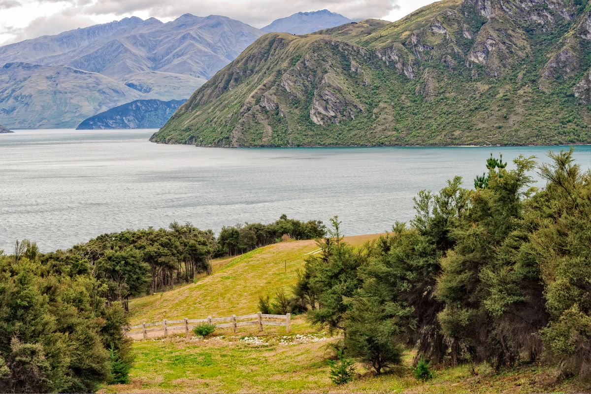 Lac Wanaka : Le guide complet pour la visite