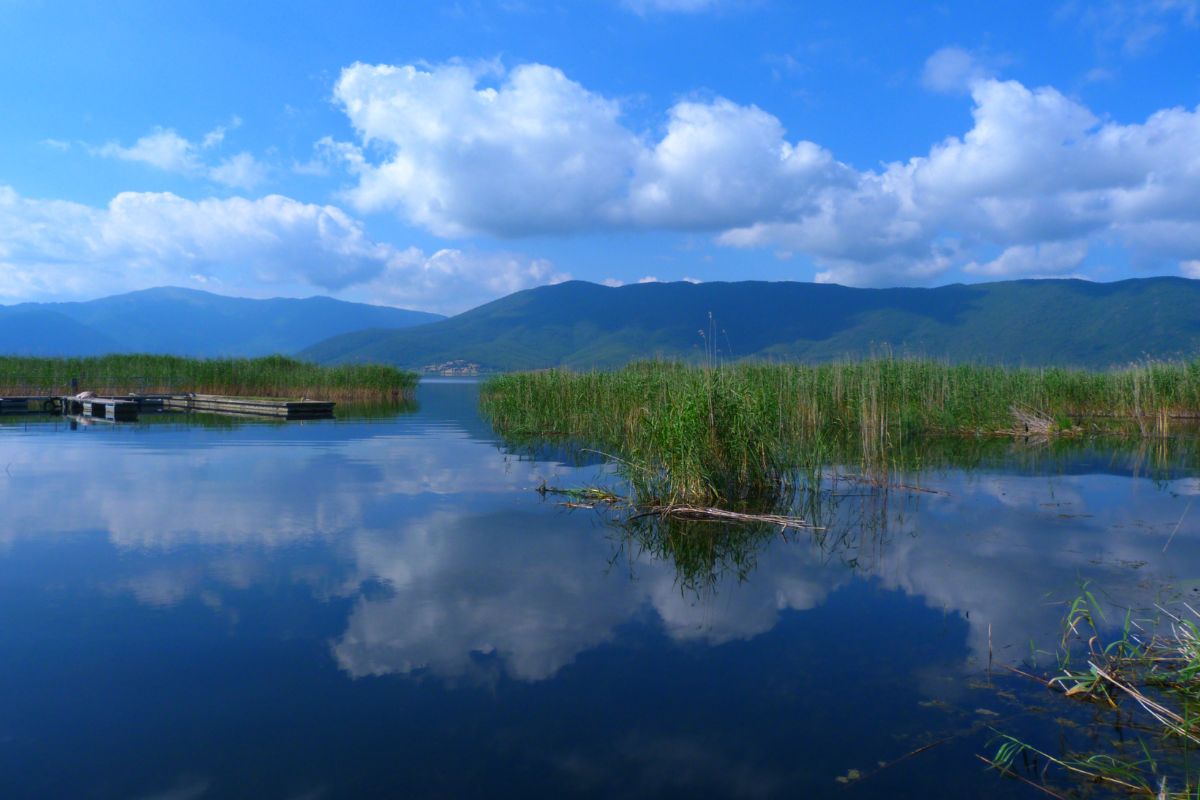 Les plus beaux parcs naturels de Grèce à voir en 2024