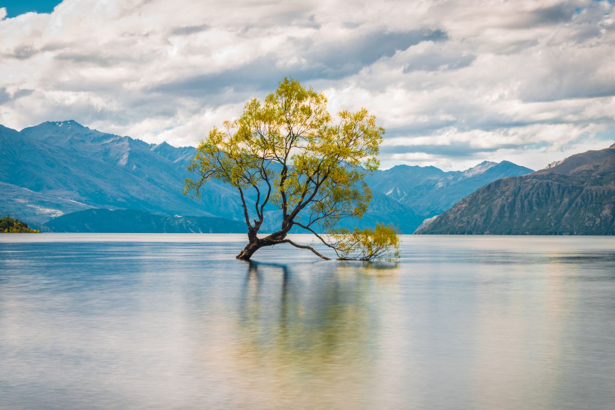 Lac Wanaka : Le guide complet pour la visite