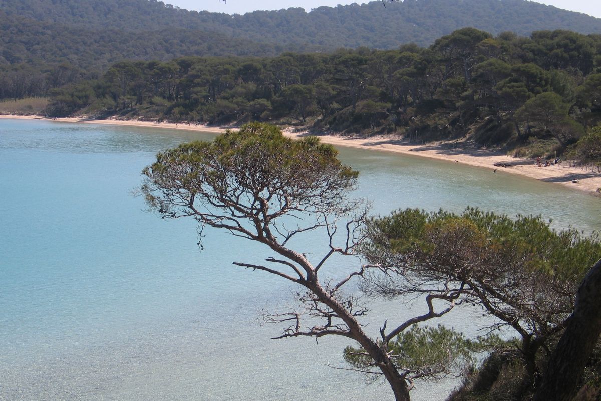 La plage Notre Dame dans le Var : Élue meilleure plage d'Europe 