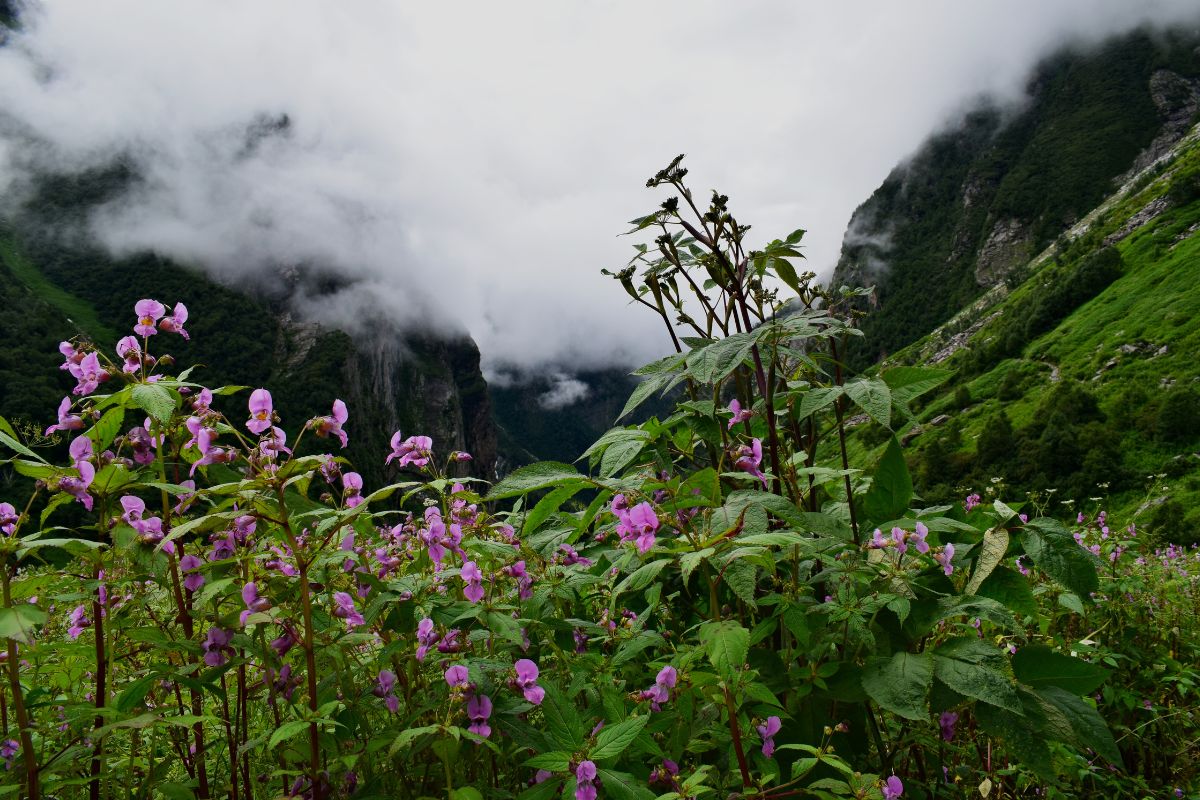 Top 10 des plus beaux spots en Inde à découvrir en 2024