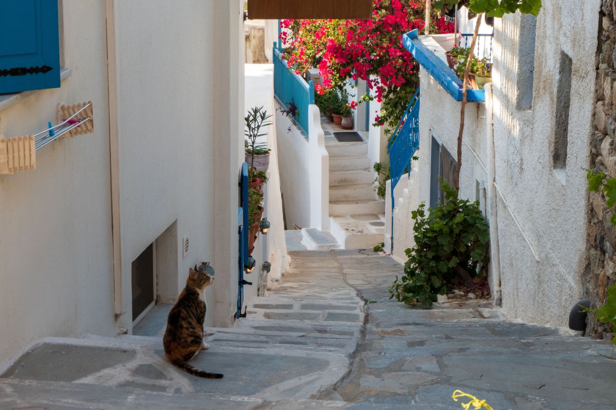 Quel est le meilleur endroit entre Paros et Naxos ?