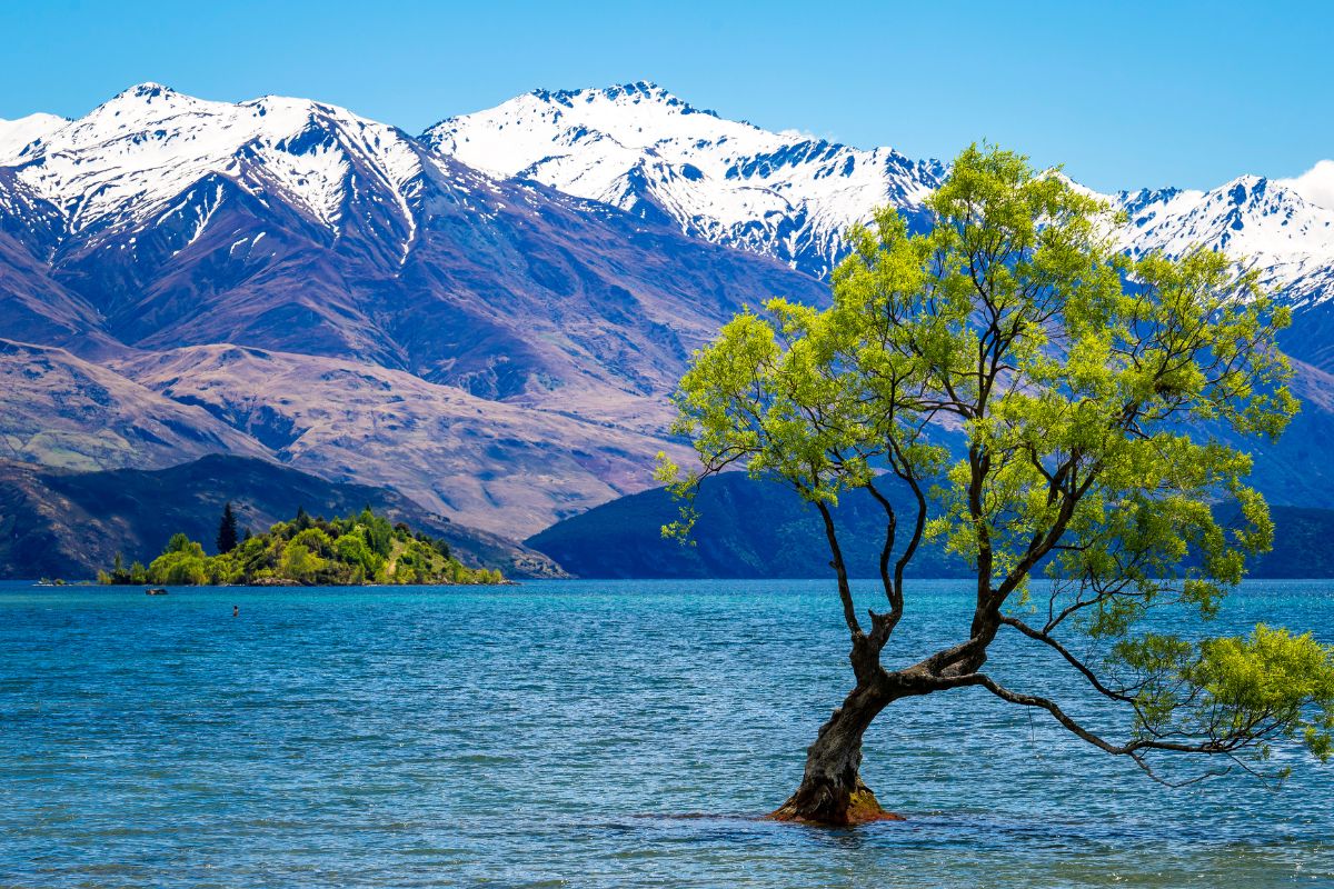 Lac Wanaka : Le guide complet pour la visite