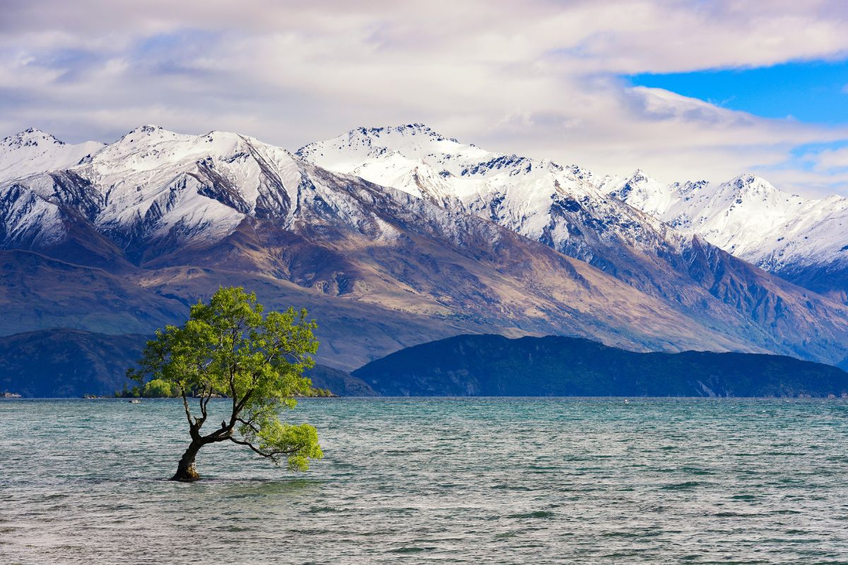 Lac Wanaka : Le guide complet pour la visite