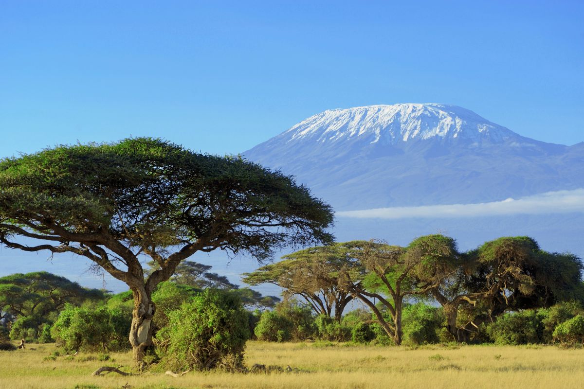 5 sites exceptionnels à voir autour du Kilimandjaro en 2024