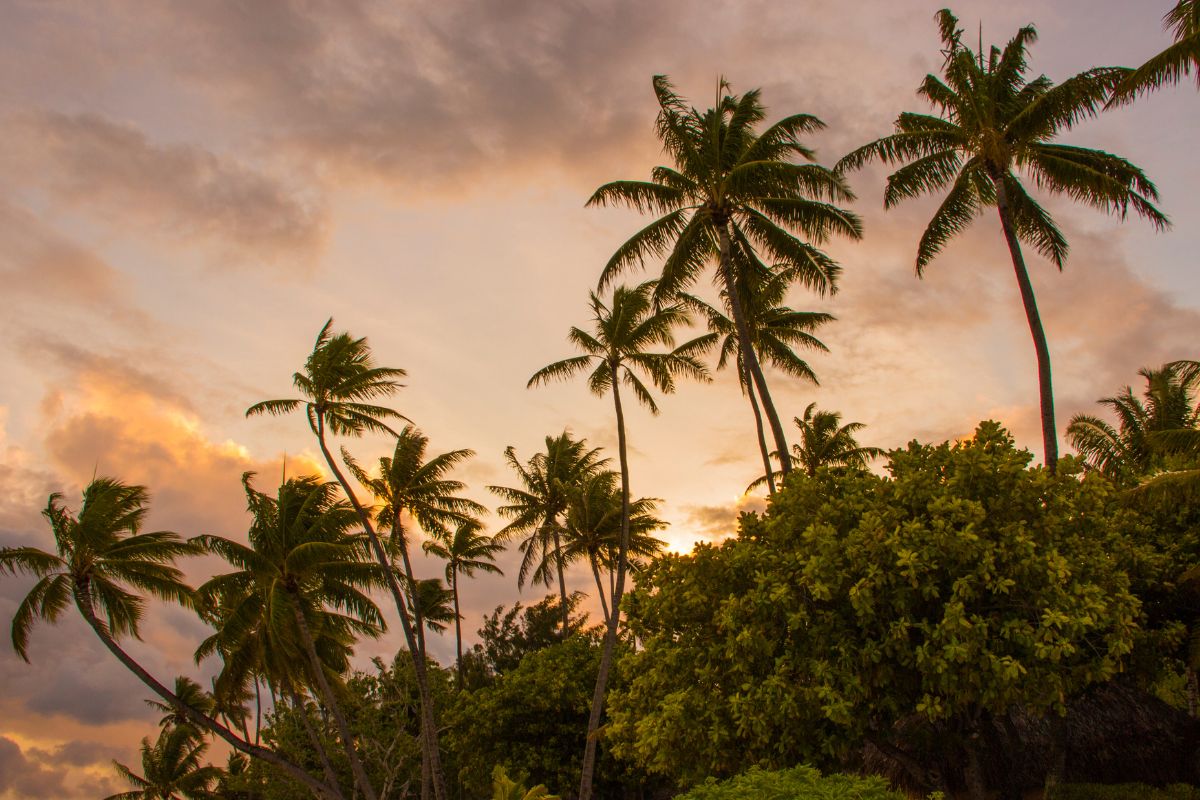 Voyage de 2 personnes à Tahiti : A combien s’attendre en 2025 ?