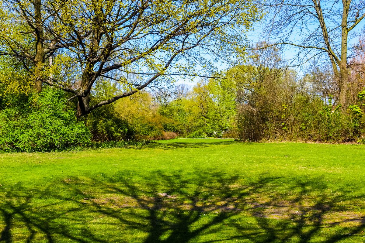 Les 10 meilleures destinations pour partir en février en famille en France