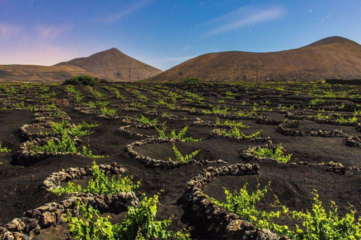 Quand partir à Lanzarote : Les recommandations