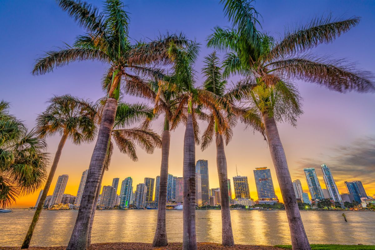 Miami : Quand partir pour ses vacances en 2024 ?