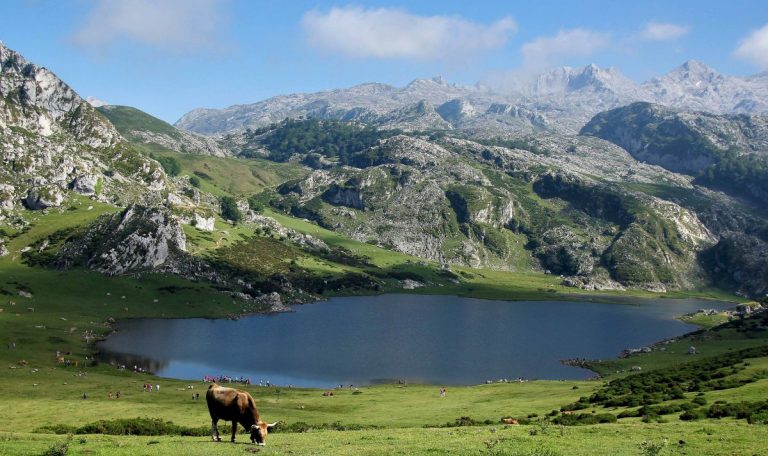 Comment faire pour se déplacer dans les Asturies en 2024 ?