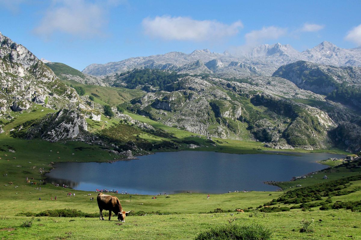 Comment faire pour se déplacer dans les Asturies en 2024 ?