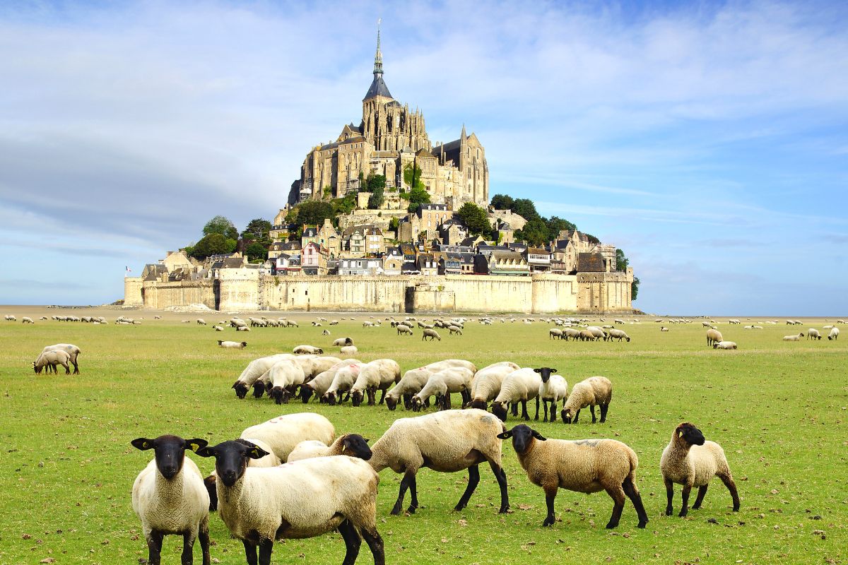 Le Mont-Saint-Michel : Ou dormir pour une expérience unique en 2025 ?