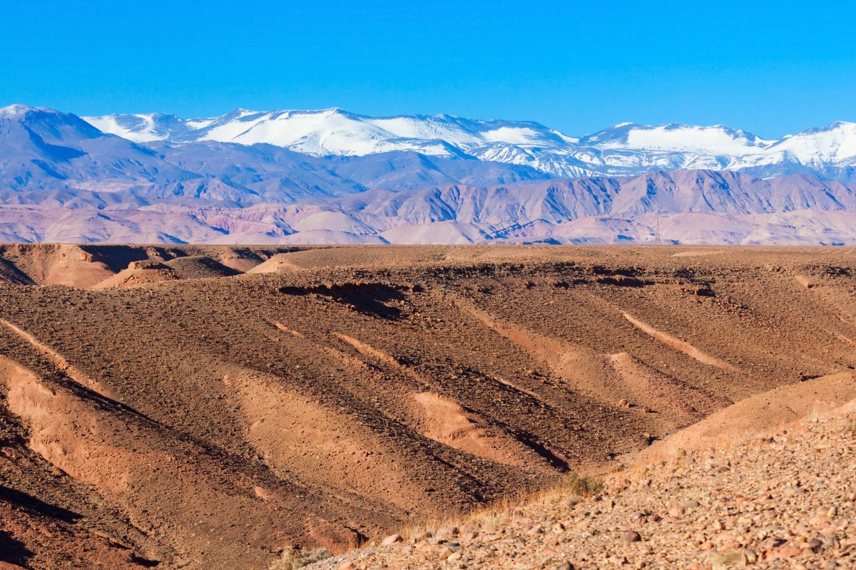 Que faire autour de Marrakech : Mon expérience pour 2025 !