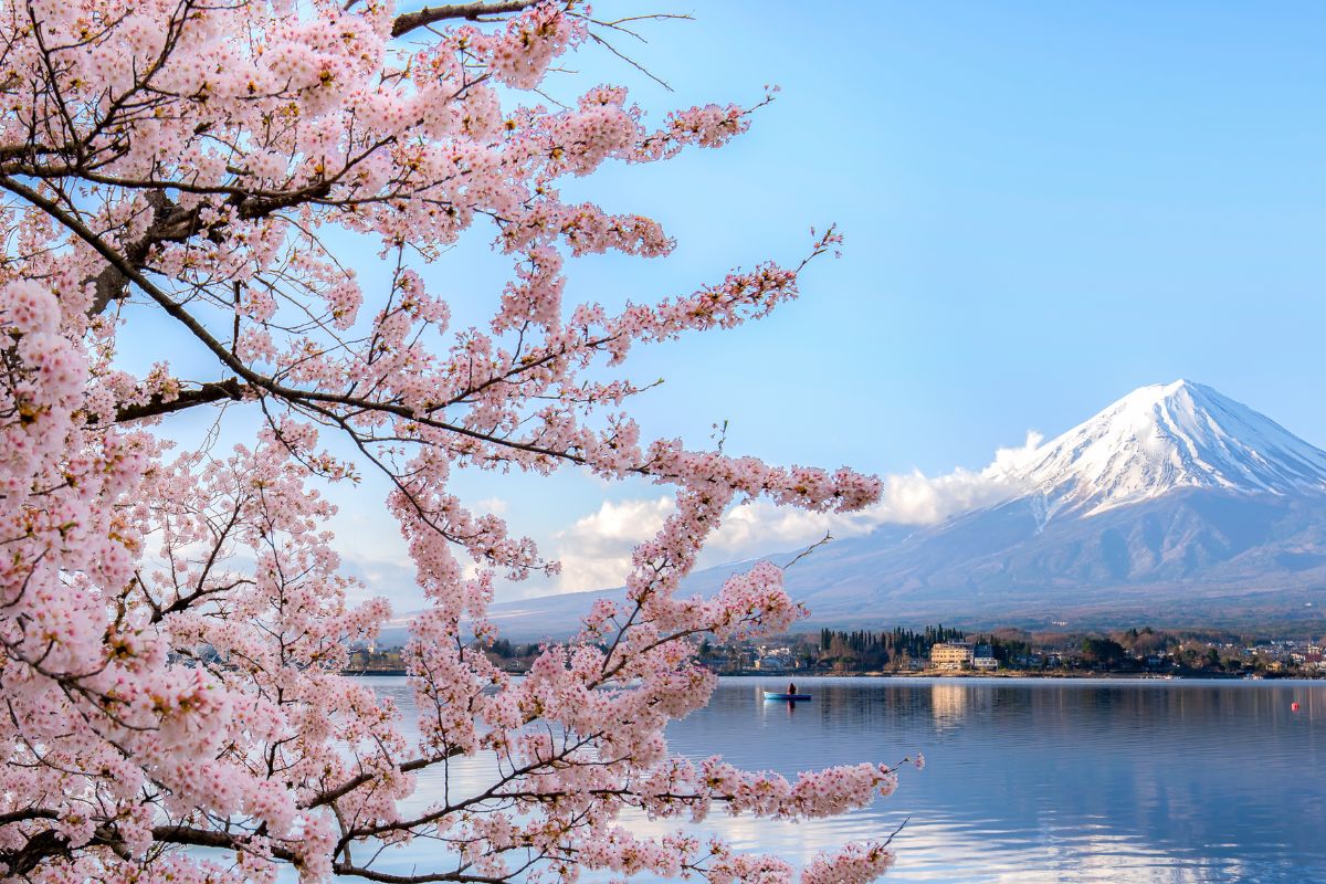 Voyage tout compris au Japon : Quel prix espérer ?