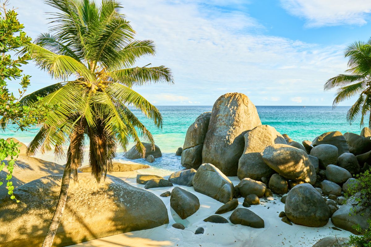 Voyage tout inclus aux Seychelles : Quel est le prix en 2025 ?