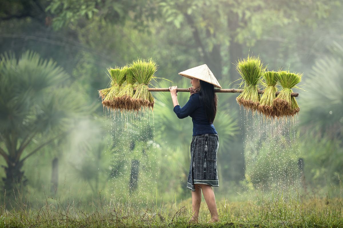 Quel prix pour un voyage de 15 jours au Vietnam ?