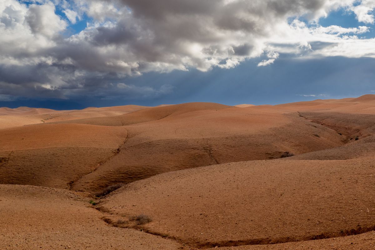 Que faire autour de Marrakech : Mon expérience pour 2025 !